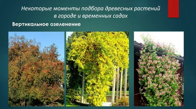 Источник: конференция «Формирование комфортной городской среды»