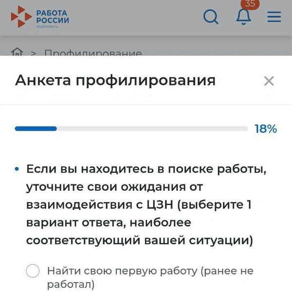 Источник: скриншот профилирования на портале «Моя работа» / trudvsem.ru