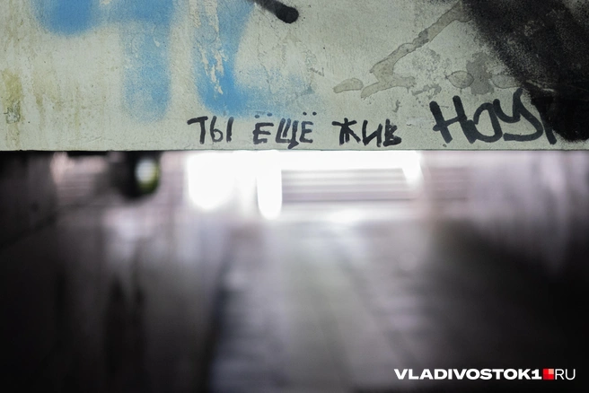 Источник: Елена Буйвол / VLADIVOSTOK1.RU