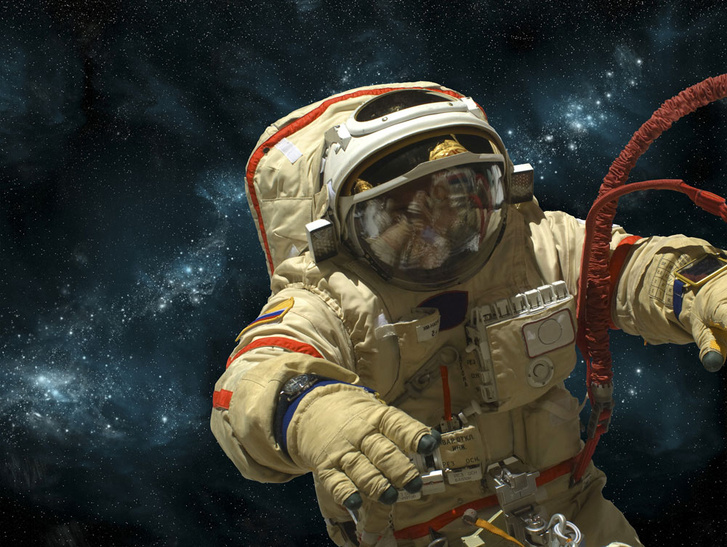 «Роскосмос» объявил о наборе космонавтов