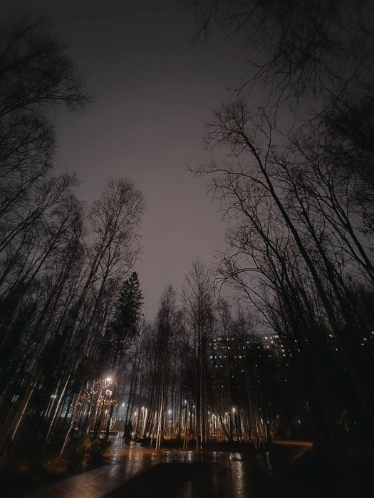 Источник: Хелен Вознесенская / ВКонтакте