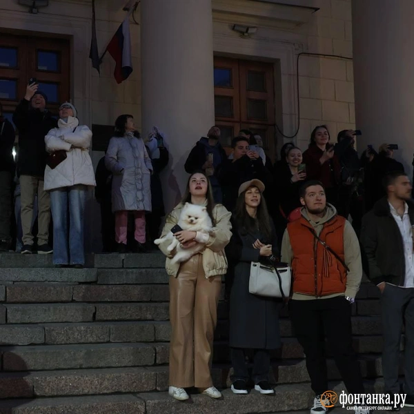 Источник: Анастасия Барашкова / «Фонтанка.ру»