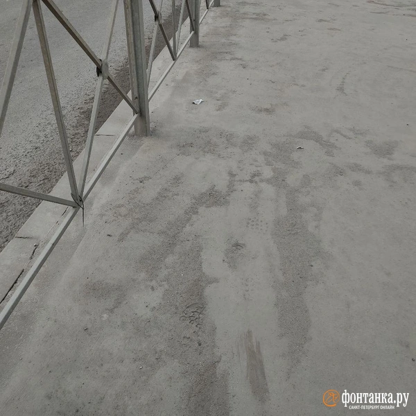 Источник: Михаил Огнев / «Фонтанка.ру»