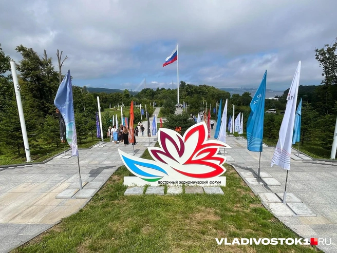 Дальний Восток растет быстрее страны | Источник: Елена Буйвол / VLADIVOSTOK1.RU