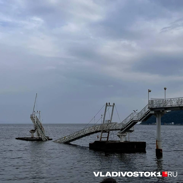 Источник: Алиса Князева / VLADIVOSTOK1.RU