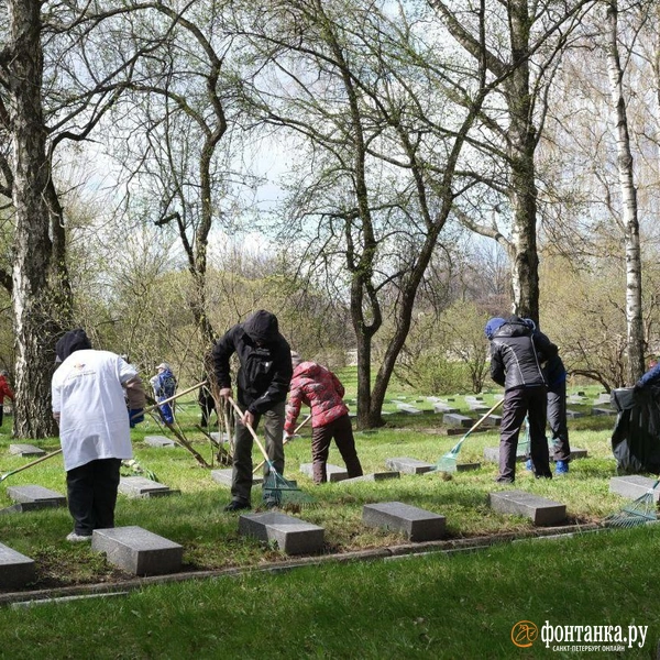 Источник: Анжела Мнацаканян