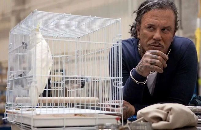 Противостояние Ванко и Тони можно было проработать глубже, но вместо этого создатели тратили экранное время на отсылки к будущим частям | Источник: кадр из фильма «Железный человек 2» (12+), реж. Джон Фавро (Paramount Pictures, 2010)