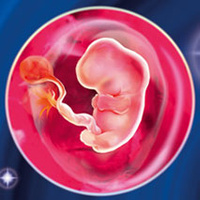 Аватарка loshadka.tiffani