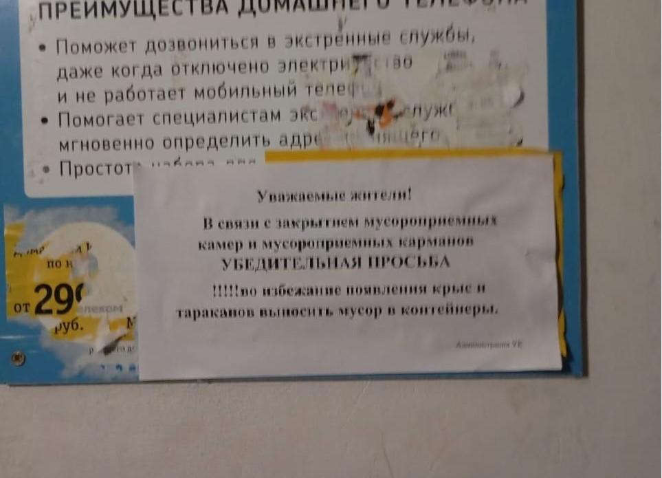 «Ждем полчищ крыс и тараканов»: в Волгограде заварили все мусоропроводы в огромном многоквартирном доме