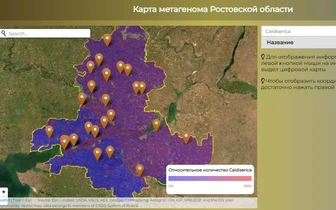 Все микробы онлайн: создана первая в России интерактивная карта плодородной почвы