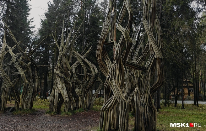 Источник: Полина Баранова / MSK1.RU