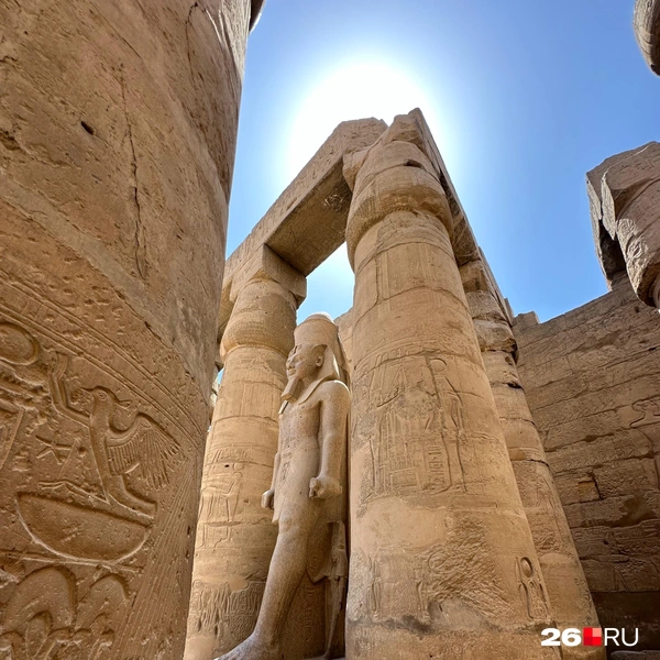 Источник: Габриелла Захарова / 26.RU