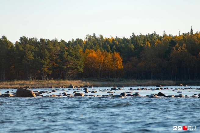 Смотрители маяков любят свою работу в том числе за общение с природой | Источник: Иван Митюшев