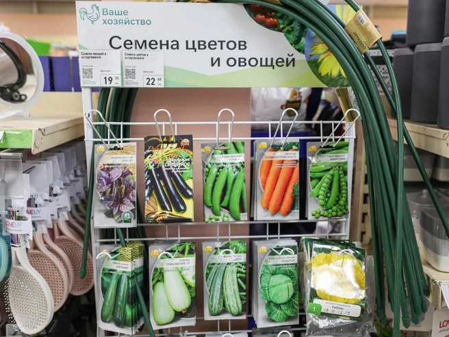 Семена овощей и цветов продаются по фиксированной стоимости от 19 до 22 рублей. | Источник: Артем Бауман / 76.RU