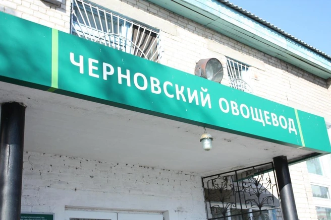 Источник: Черновский овощевод