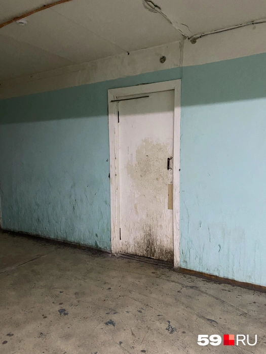 Эта дверь ведет к мусоропроводу | Источник: Анна Антипина