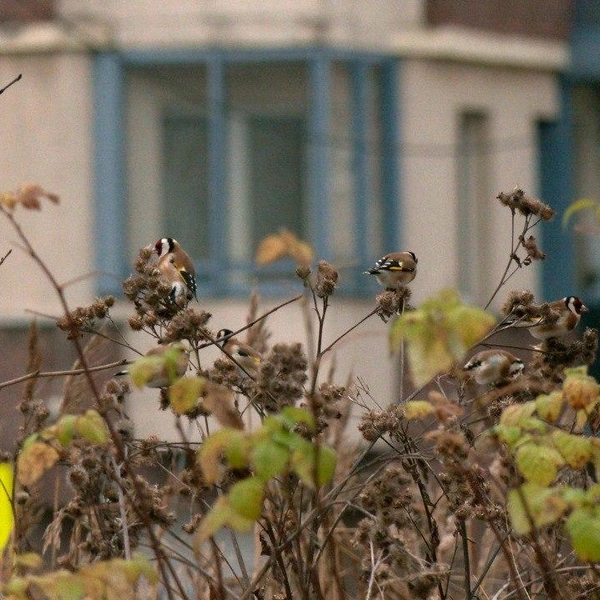 Источник: Каждой твари по паре / Телеграм