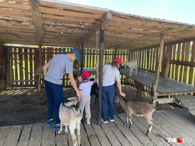 Для детей возможность погладить настоящую козу или косулю интереснее Диснейленда | Источник: Наталья Торнквист / Vk.com