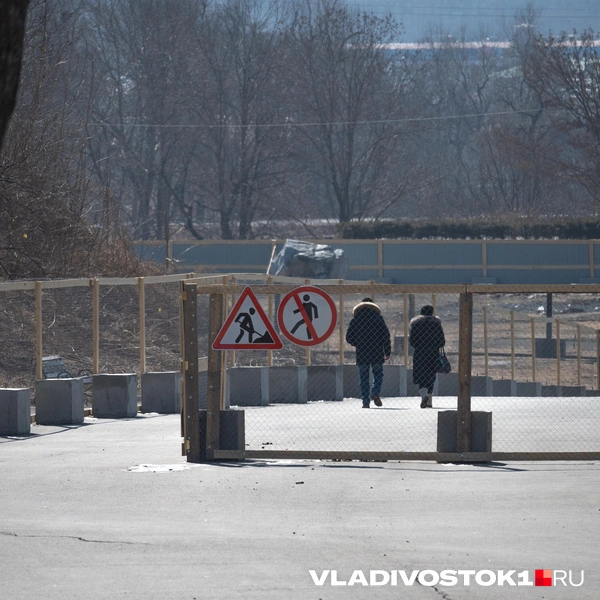 Источник: Елена Буйвол / VLADIVOSTOK1.RU