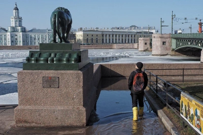 Тепло в Петербурге: лед на Неве расходится, утки возвращаются