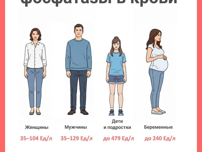 Источник: Юрий Орлов / Городские медиа
