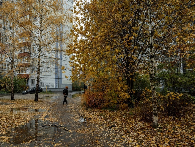 Кажется, на этот кадр опрокинули баночку оранжевой краски | Источник: Александр Куренной / 76.RU