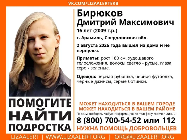 Если вы видели Диму, обратитесь в полицию | Источник: «ЛизаАлерт»