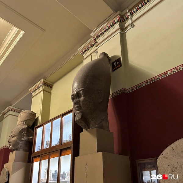 Источник: Габриелла Захарова / 26.RU