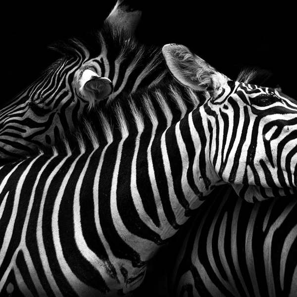 Источник: Makaio Brown / Creative Photo Awards 2025