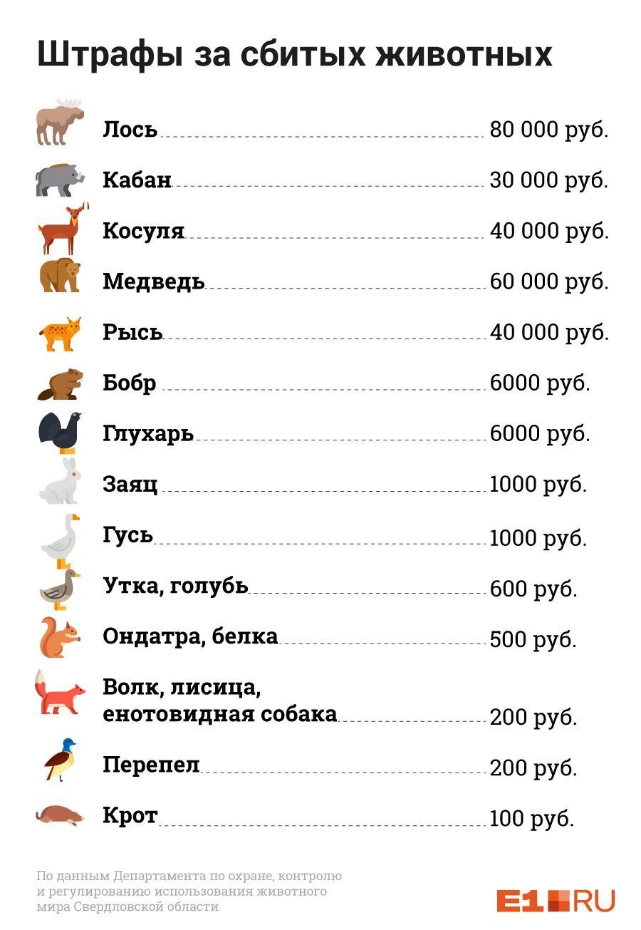 Источник: Анна Рыбакова / E1.RU