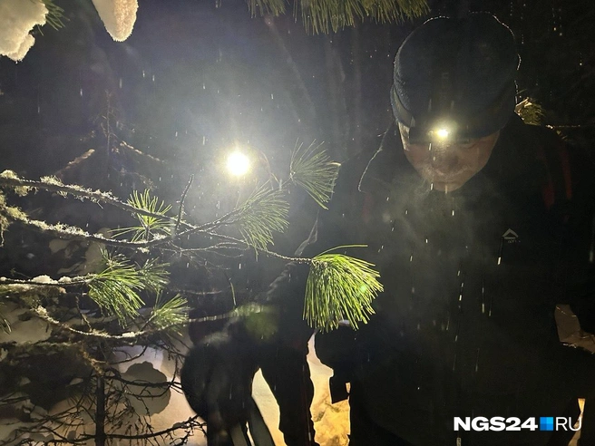 Искали и в темное время суток | Источник: Алексей Тайганавт / NGS24.RU
