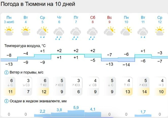 Неделя, судя по прогнозу, выдастся снежная | Источник: Gismeteo