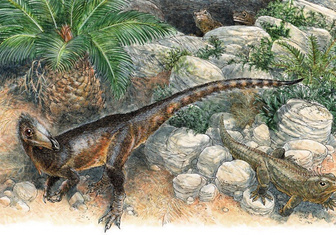 Обнаружен древнейший хищный динозавр Великобритании