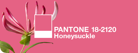 Как менялся цвет года Pantone последние 10 лет