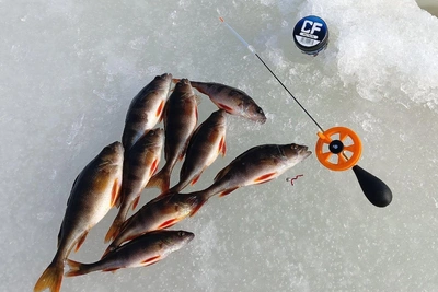 Рязанские рыбаки закрывают сезон зимней рыбалки