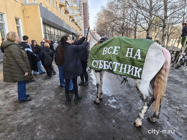 Источник: www.city-n.ru