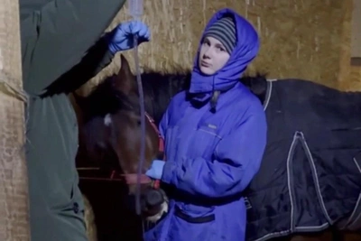 Horse Club Owner Accuses Police of Silence in Acid Attack