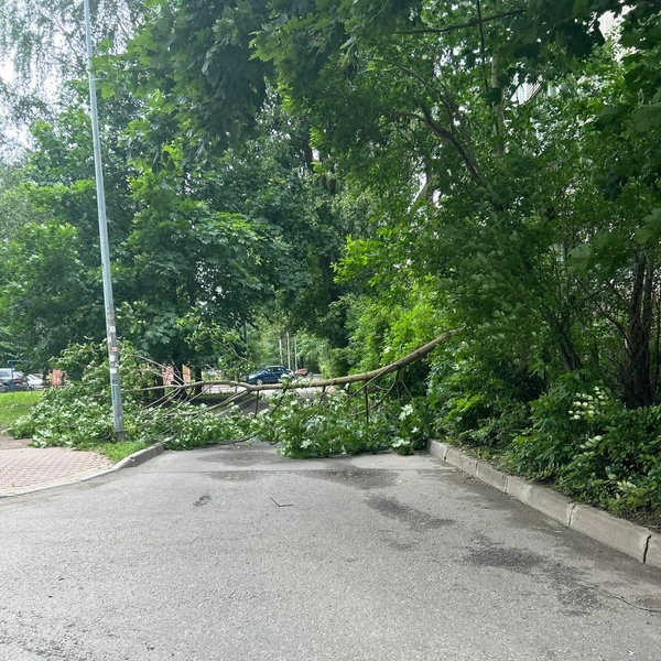 Источник: читательница «Фонтанки» Наталия