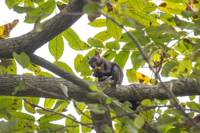 Обновление парков, школ и мемориалов в Приморье