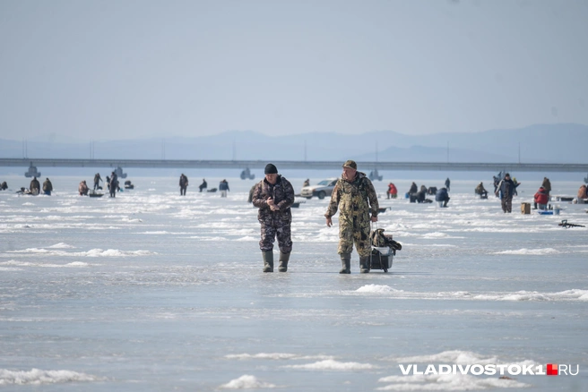 Источник: Елена Буйвол / VLADIVOSTOK1.RU