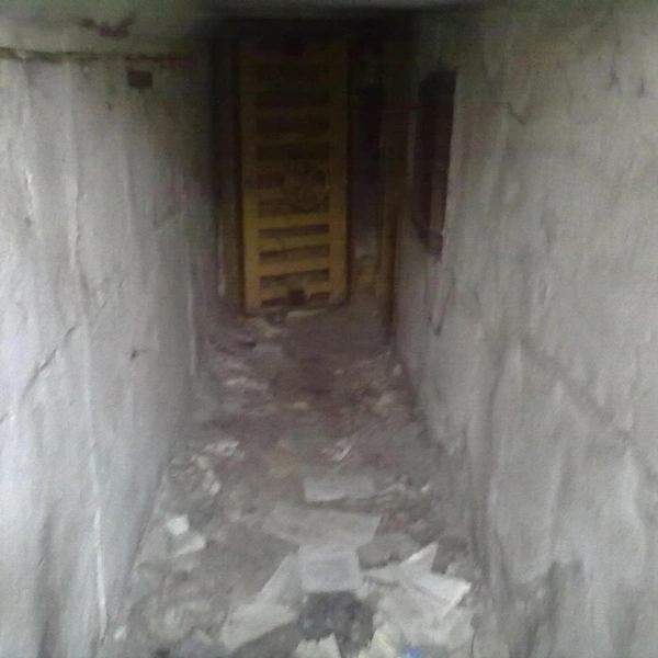 Источник: ГИС Торги