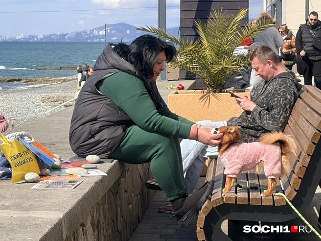 Домашние питомцы тоже рады теплу | Источник: Анна Грицевич / SOCHI1.RU