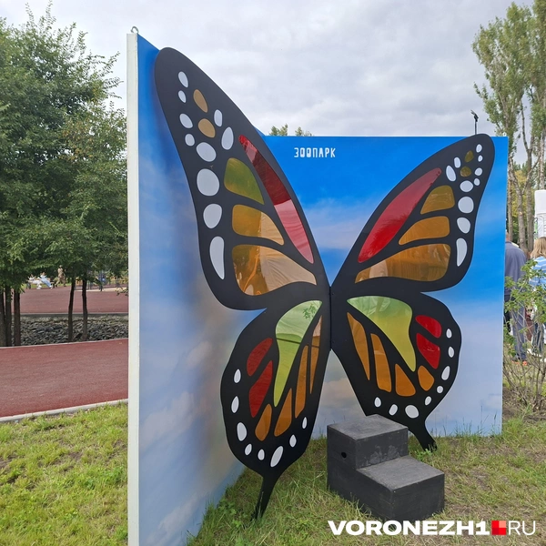 Источник: Алёна Воропаева / Voronezh1.ru