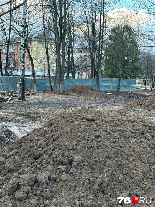 Работа по наведению порядка в парке еще предстоит большая | Источник: читатель 76.RU