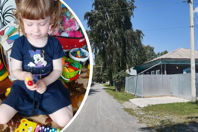 Наталья Липинская не видела дочь два года, но даже когда ребенок нашелся, ехать за 260 километров не решилась | Источник: Наталья Липинская, Александр Ощепков / NGS.RU
