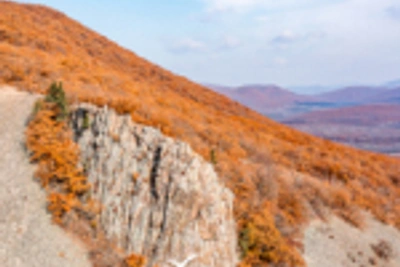 Братья пилота Руденцовой готовят поисковую экспедицию