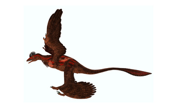 Кем пообедал 4-крылый монстр? В желудке динозавра впервые нашли кости млекопитающего
