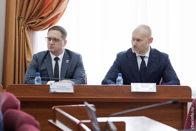 Источник: st.cherinfo.ru