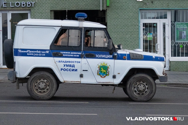 Это не первое подобное происшествие | Источник: Елена Буйвол / VLADIVOSTOK1.RU