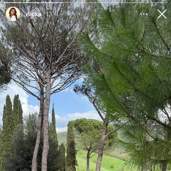 Источник: Элина Сафарова / Instagram*